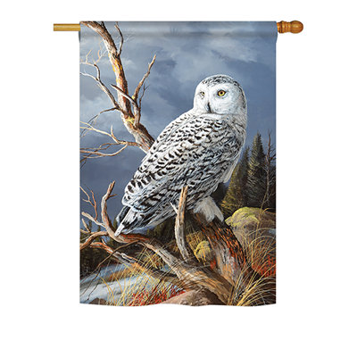 Drapeau de jardin en polyester 3,3 x 2 pi 3 pi Beeney
