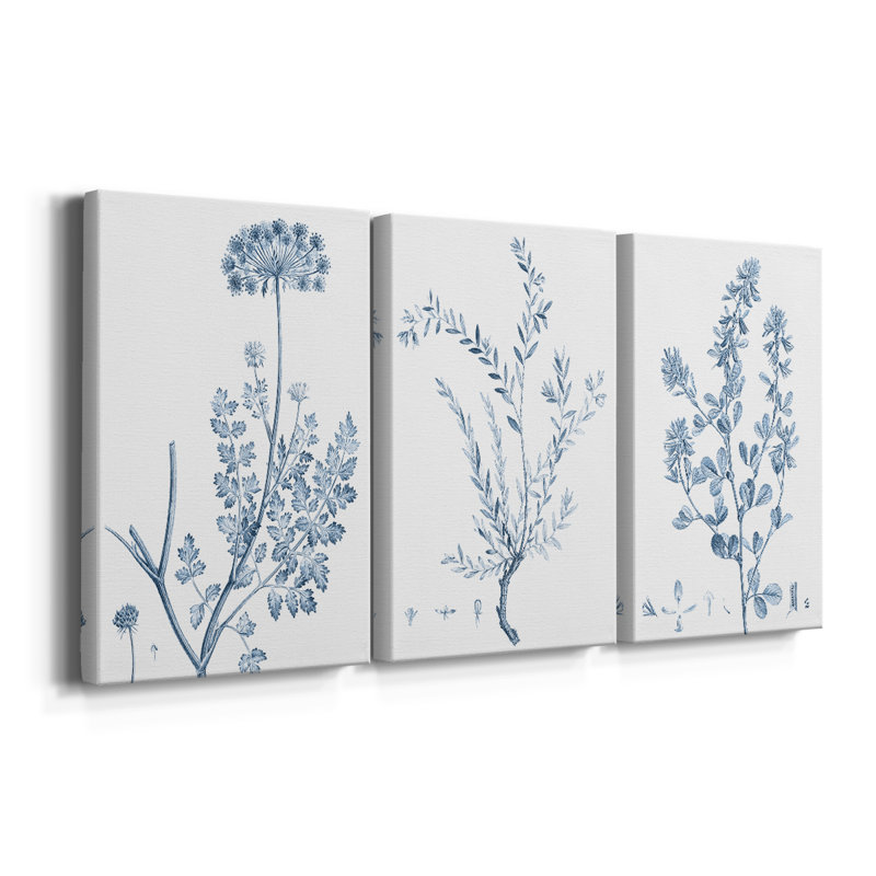 Antique Botanical in Blue V - Toile tendue avec châssis sur mesure - 3 pièces, H 12 po x l 24 po