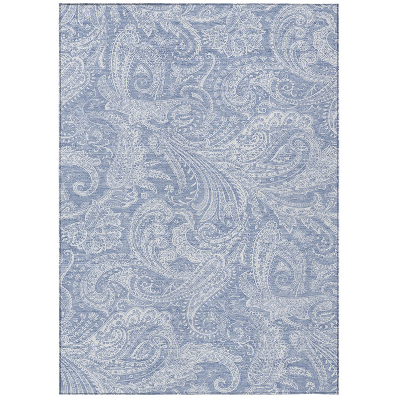 Fareham Washable Paisley Indoor / Outdoor Rug, Rectangle 3' x 5'
