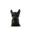 DC Bronze Egyptian Cat