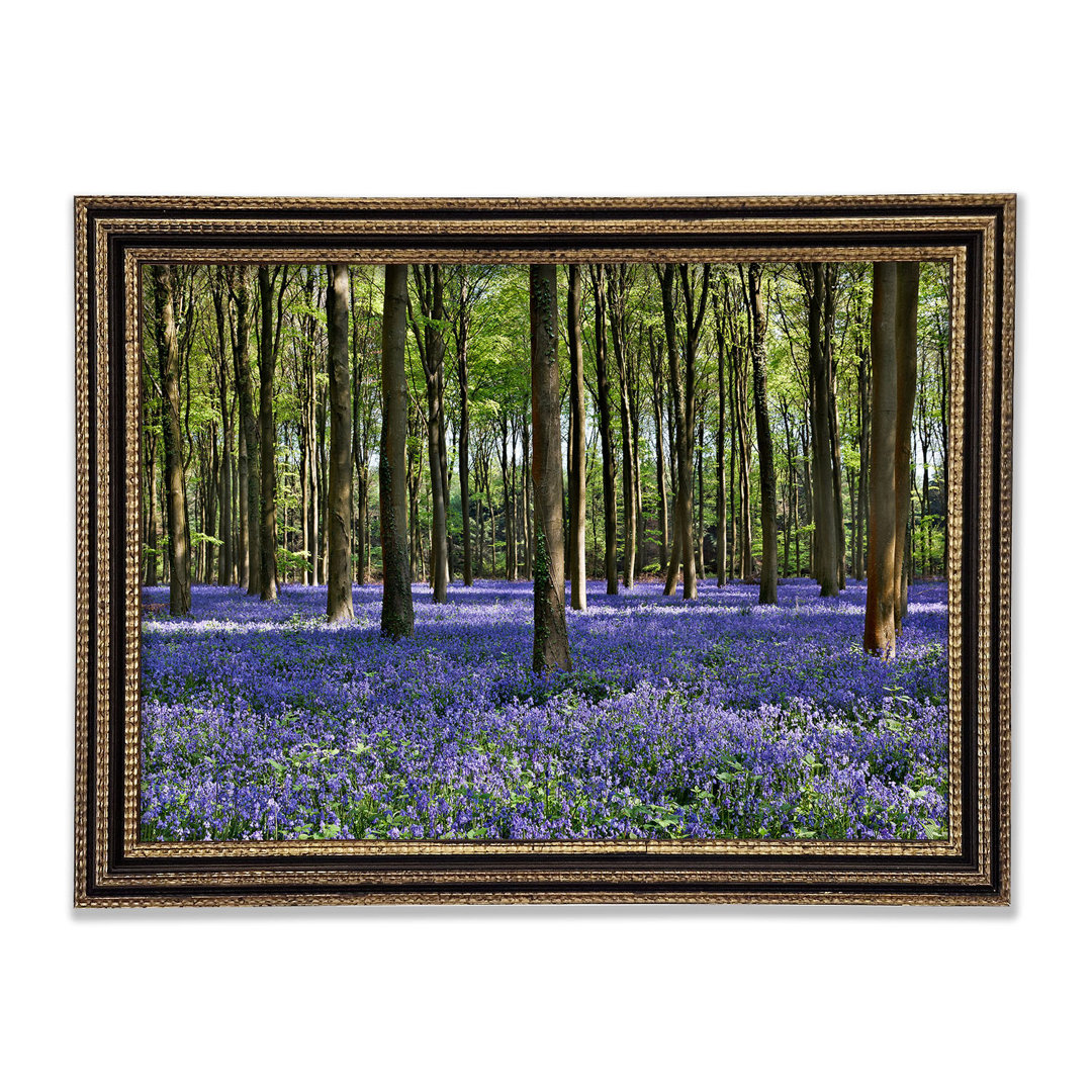 Schöne lila Blumen im Wald - Druck