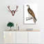 Cherrug Falcon by John Edward Gray - Wrapped Canvas-55315253