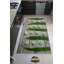 Tapis floral en polyester tissé à la machine floral vert / blanc / gris-1039073660