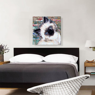 Himalayan Cat Breed Kitten - Reproduction d'art sur toile tendue