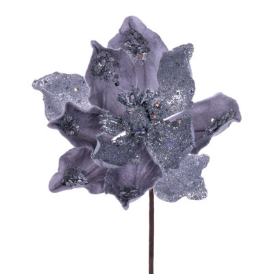 Tige de magnolia