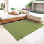Tapis d'intérieur / extérieur vert Charlynn-57193205