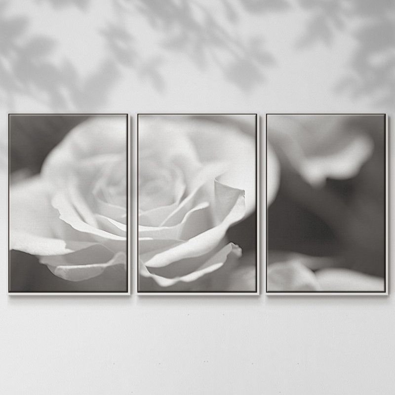 Roseudes IV - Toile encadrée multi-pièces, H 24 po x l 48 po x P 2 po, Blanc
