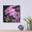 «Fleurs roses 1» par Photoinc Studio, art mural en métal, 12 po x 12 po-879187856