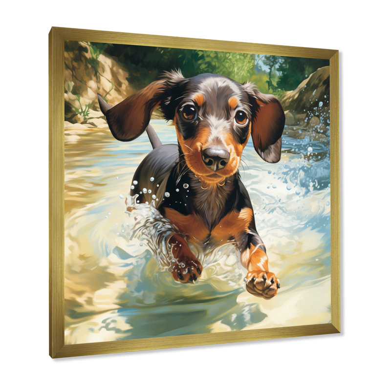 Mignon teckel jouant dans la rivière sur toile, Cadre doré à une seule photo, H 30 po x l 30 po x P 1 po