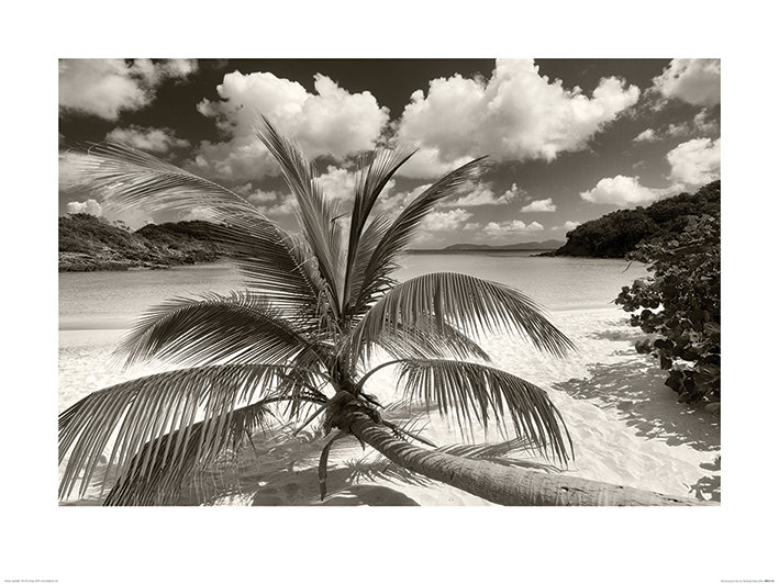 Print on Canvas, Paper