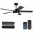 46"Ceiling Fans With Lights And Remote/APP-1303121782-1303121783