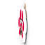 Gruia Wall Decor