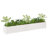 Wood Pot Planter-91895489-91895478