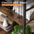 Landrienne 47.2" H x 23.6" W Etagere 4-Shelf Bookcase-453867629