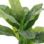 Artificial Tropical Plant with Plastic Flowerpot Home and Office Plant Decoration-1486098224