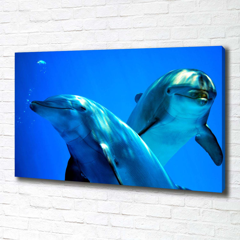 Two Dolphins - Wrapped Canvas Print