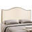 Curl Nailhead Upholstered Headboard-1823131706-1816451001-1816451003