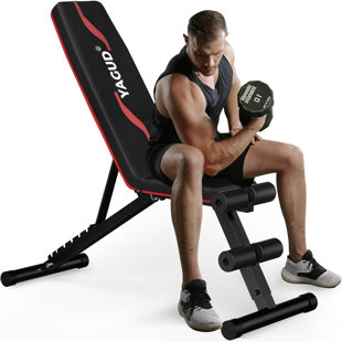 Weight Bench Press, Adjustable Workout Benches for Home Gym Dumbbell Exercise, 800 LB Stable Incline Decline Bench for Full Body Workout