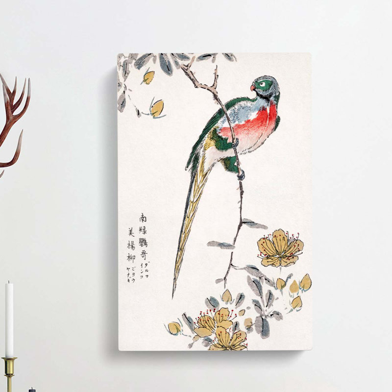 Macaw And Drooping Peach by Numata Kashu - Wrapped Canvas Painting, 91cm H x 60cm W x 3cm D