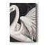 ANIMALS Series CECLIV - Gallery Cavas-174463795