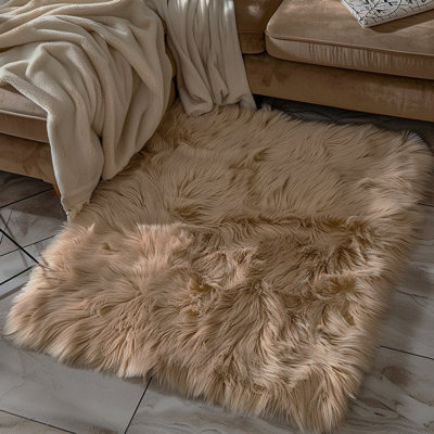 Indoor Rug