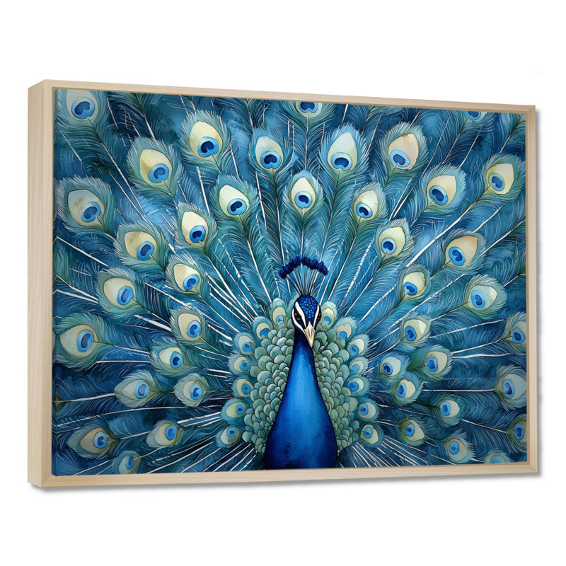 Royal Peacock Feather présent II - paon, art mural, H 12 po x l 20 po, Cadre flottant, Doré