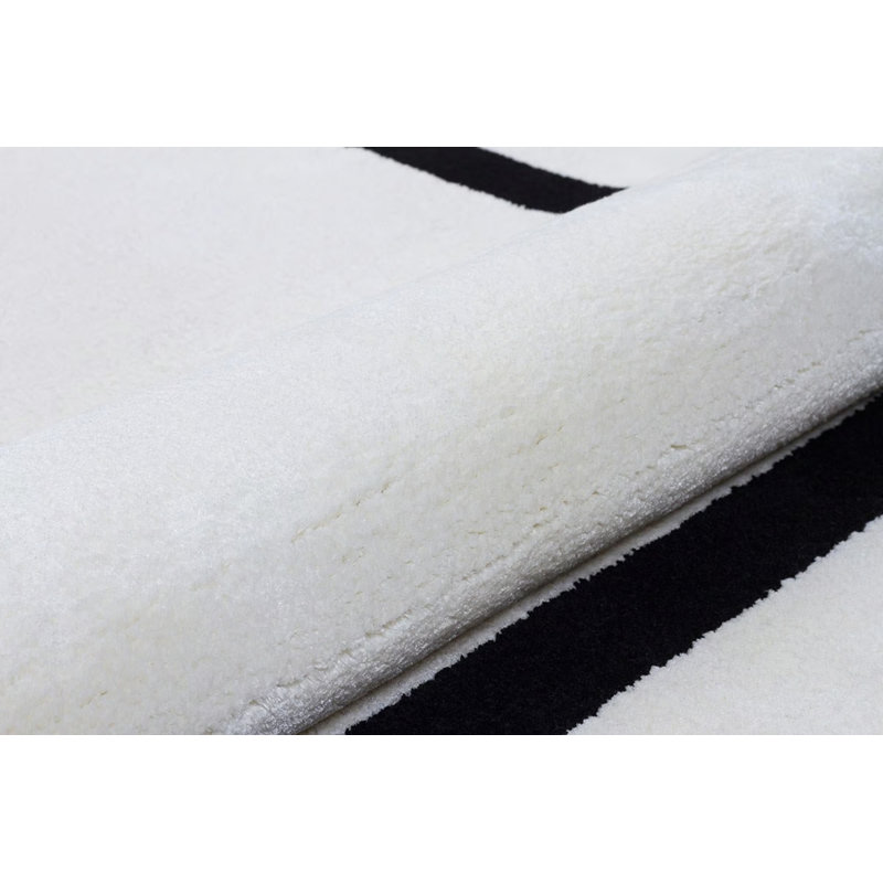 Tapis spécial touffeté noir et blanc à motif de viscose tissé à la machine, Rectangle 2 pi 11 po x 4 pi 11 po