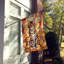 Chat en feuilles d'automne-112700466