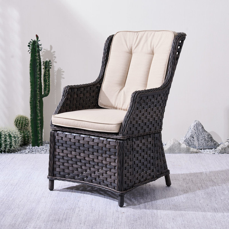 Aeryna Patio Dining Armchair With Cushions, Beige/Brown