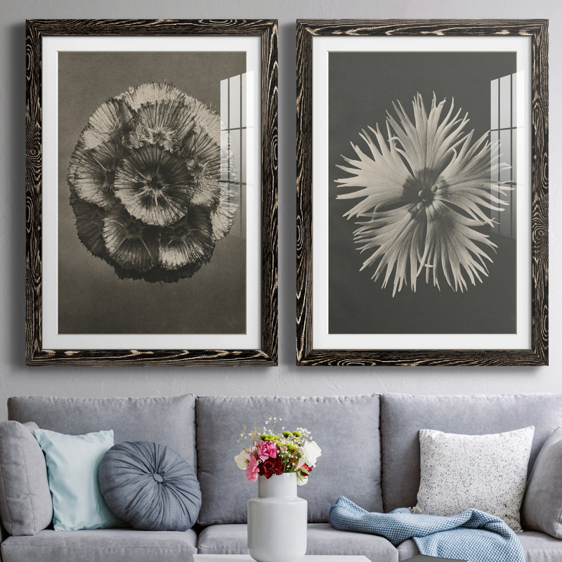 «Blossfeldt Flower III», ensemble de 2 reproductions de photos sur papier encadrées, H 31,5 po x l 47 po x P 1,5 po