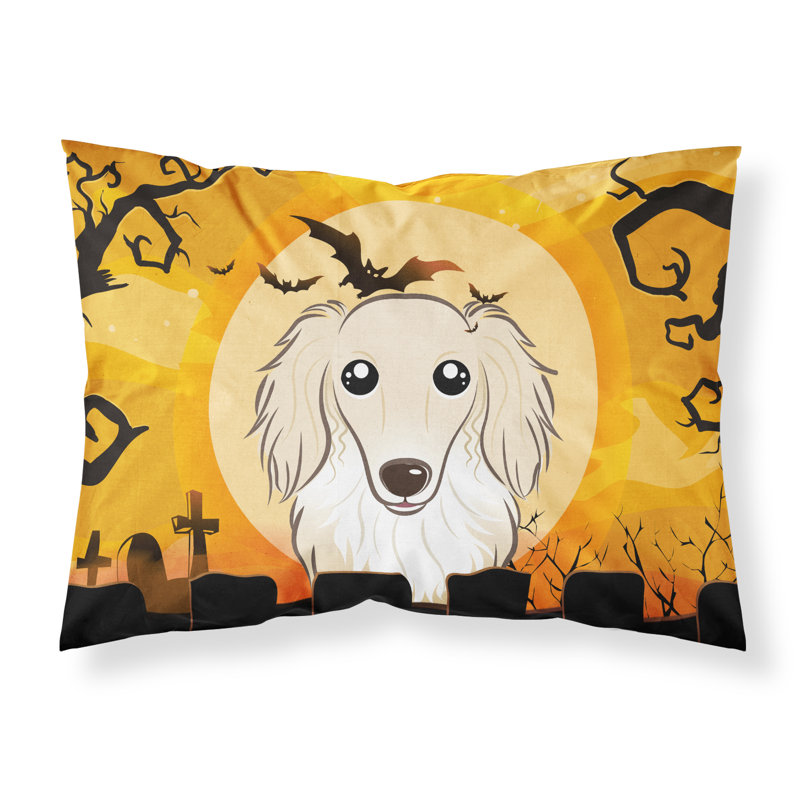 Microfiber, Creme Longhair Dachshund