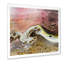 Art liquide blanc avec vagues roses et jaunes - impression sur toile moderne-66837822-66837808