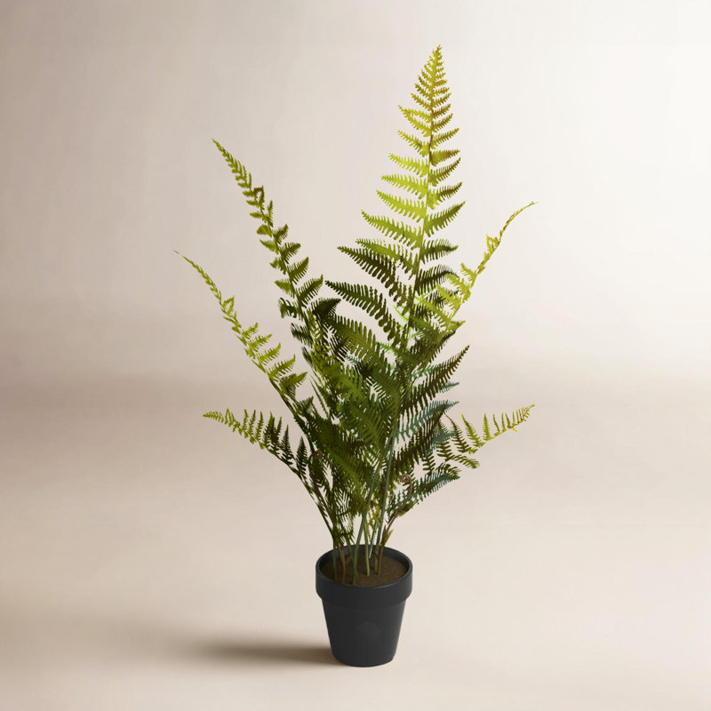 Fougère artificielle en pot, H 27 po x l 16 po x P 16 po