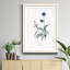 Orchidées au paradis I - Cadre photo, reproduction d'art sur papier-227004202-227004192