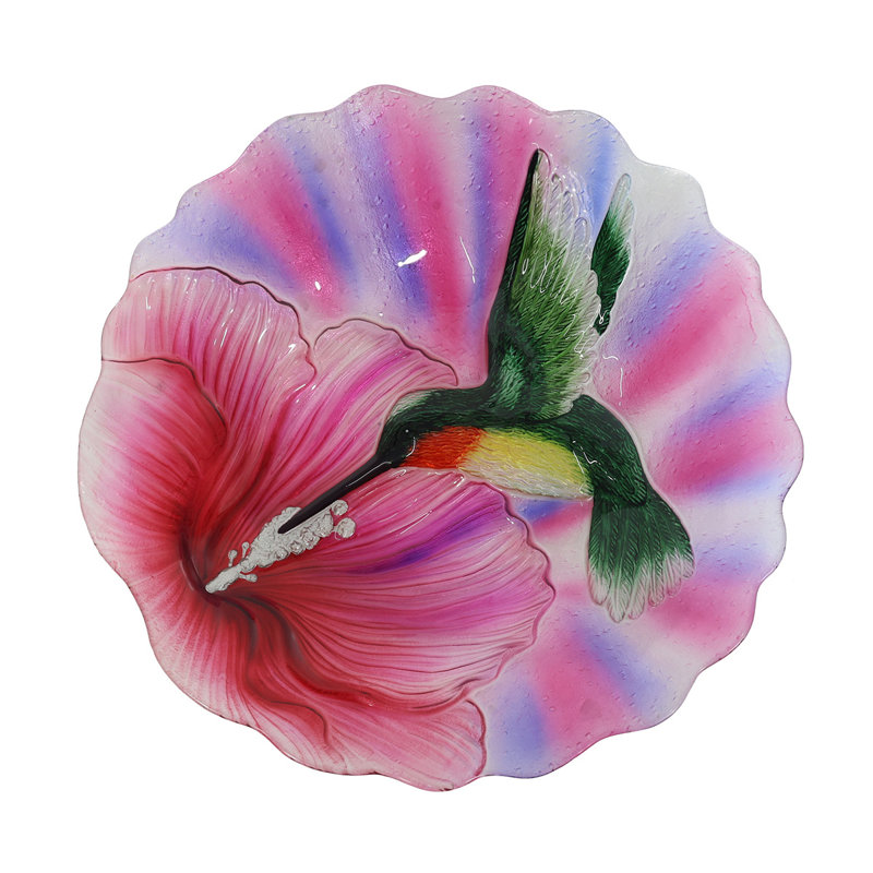 Bain d'oiseaux en colibri en vol