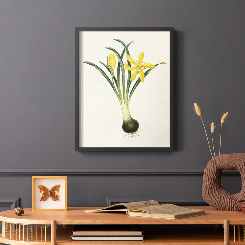 Fleurs des saisons VI, reproduction encadrée - bois massif, Noir, H 14 po x l 11 po