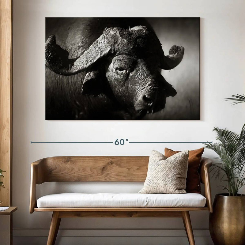 Buffle d'Afrique sauvage Brampt, H 34 po x l 51 po