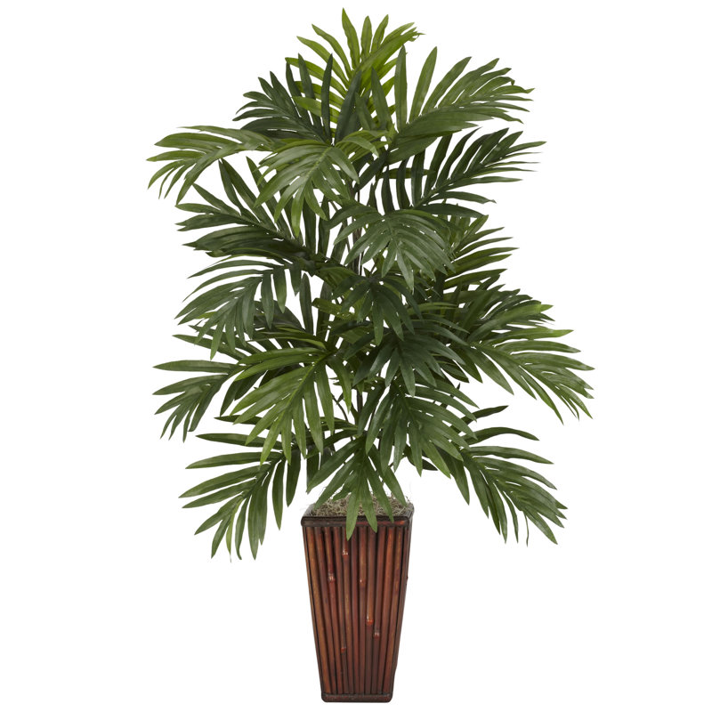 Palmier Areca avec vase en bambou