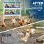 Nesting Boxes-2011414176