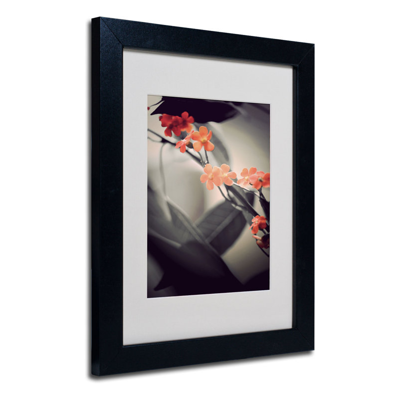 « doux gray 1 » par philippe sainte-laudy,, reproduction de photo encadrée, H 14 po x l 11 po, Noir