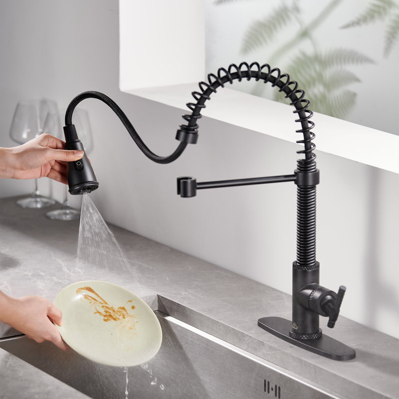 Bolden CASAINC 1.8 GPM Britt Commercial Style Pull Down Single Handle Kitchen Faucet, Matte Black