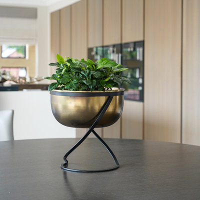 Kensington Metal Planter on Stand