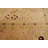 Dixion One-of-a-Kind 8' X 10'2" 2010s Wool Area Rug in Cream