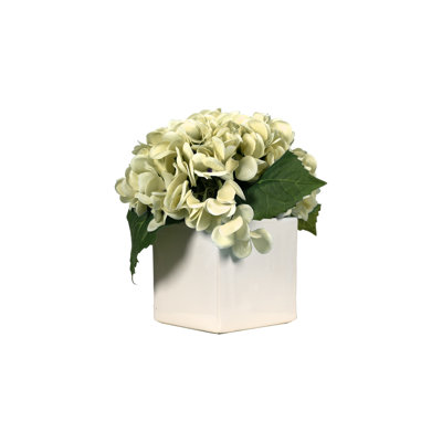Green Real-touch Hydrangeas In Square Ceramic Vase