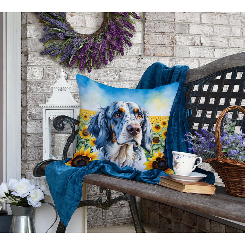 Other/No Pattern Outdoor Throw Pillow, 18" H x 18" W