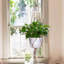 Jardinière Olivene-1456700896