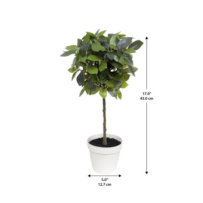 Algreen 18" Faux Weeping Ficus in White Decorative Planter