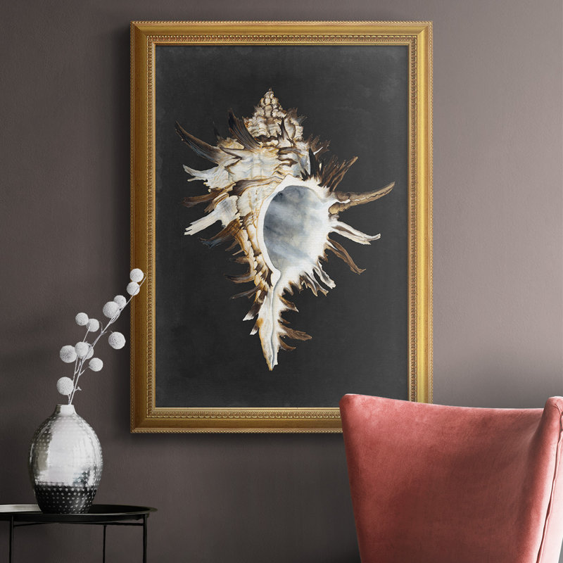 Graphic Black Murex Graphic Black Murex - reproduction de cadre photo sur toile, H 20 po x l 16 po x P 2,5 po
