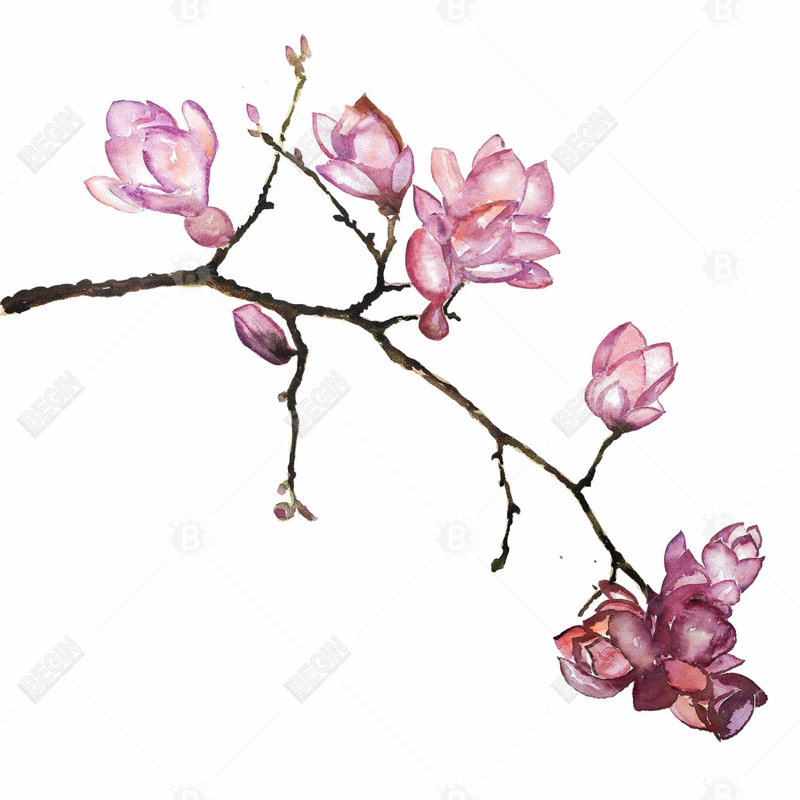 Branche de fleurs de cerisier - Toile encadrée 36 po x 36 po