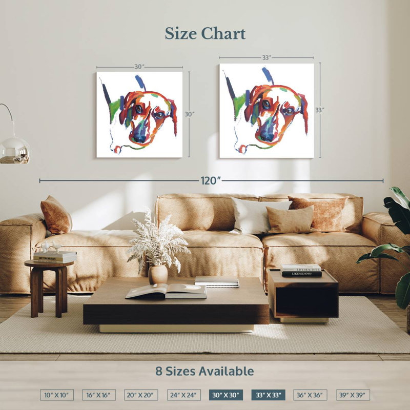 Crowle Dachshund Couleurs